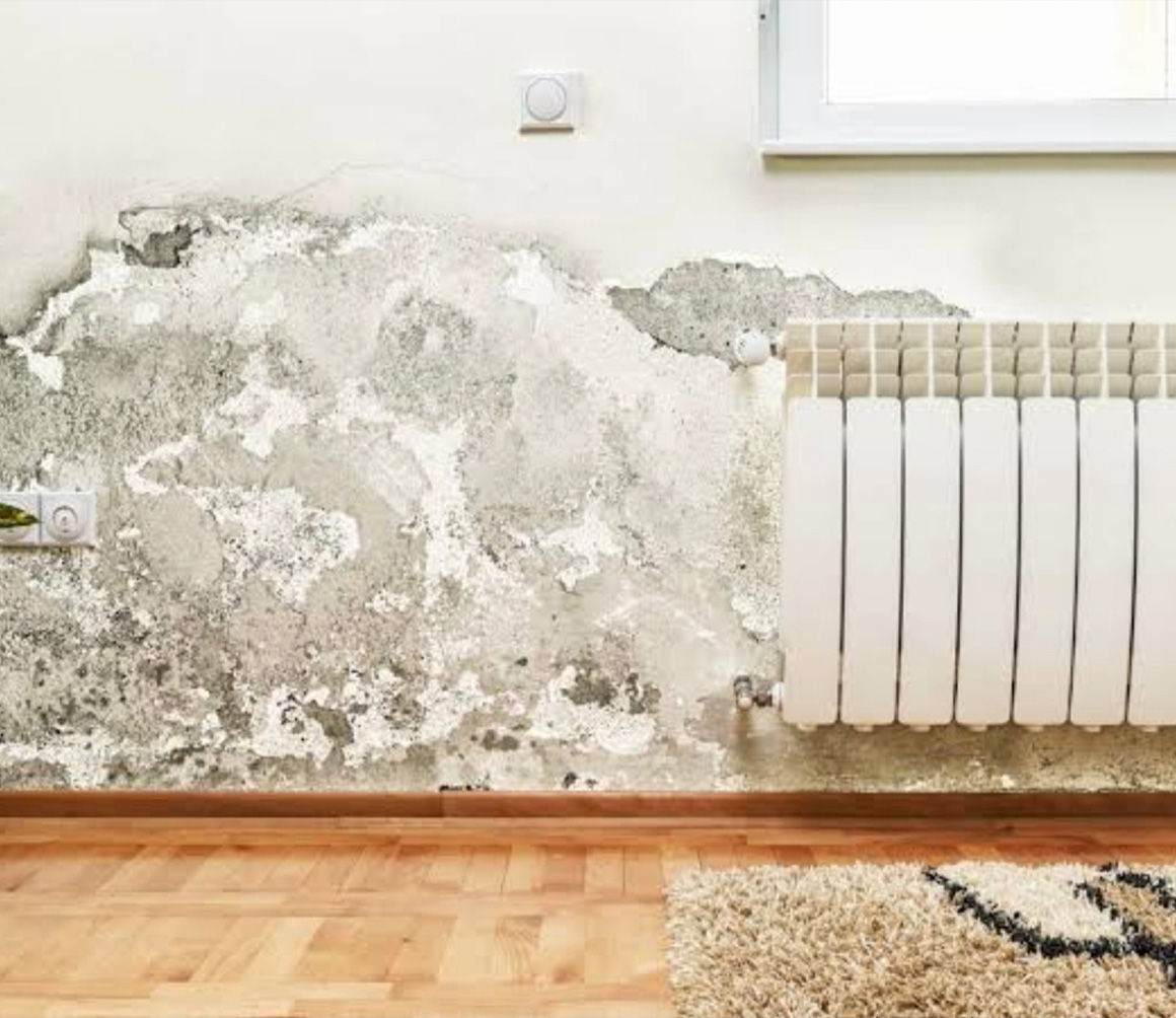 Nano Wet Plaster SV - Küf ve Nem Yalıtım | Nanoser Yapı Kimyasalları