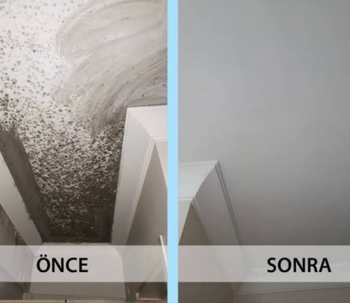 Nanoküf Color - Mould and Moisture Insulation | Nanoser Yapı Kimyasalları